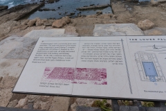 DSC07242.jpg
