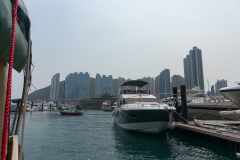 DSC01461.jpg