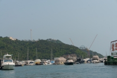 DSC01490.jpg